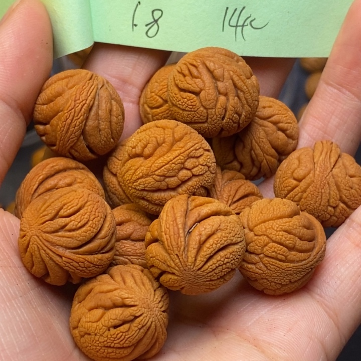 吊坠桃核秦岭龙纹桃核18尺寸