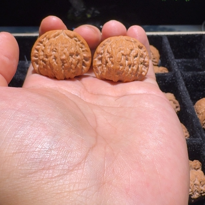 文玩核桃吊坠白狮子