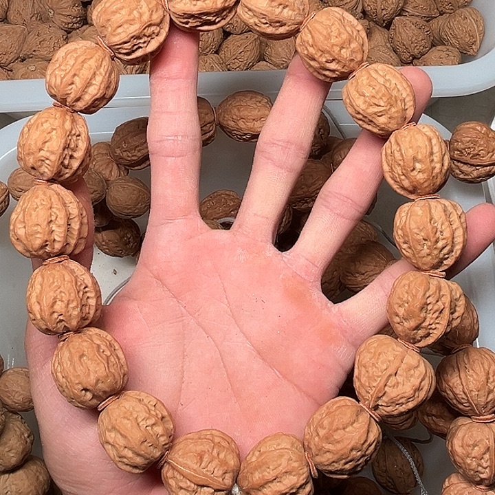 大叶紫檀（黑酸枝木类）