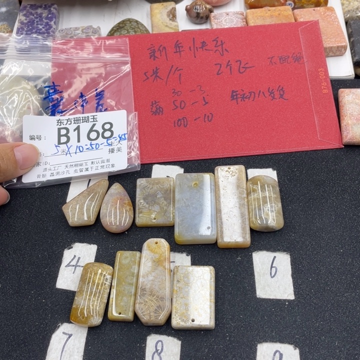 硅化珊瑚（珊瑚玉）颈饰合金囊****