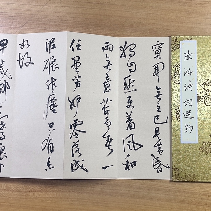 书法中书协会员作品