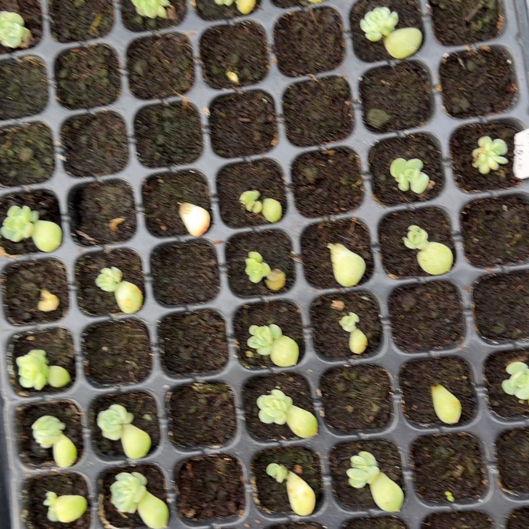 710 穴一个满25包邮