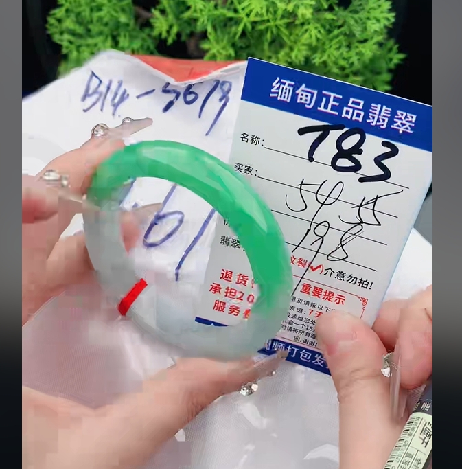 T83缅甸翡翠手镯处理198/条【一物一证】实物以直播间为准