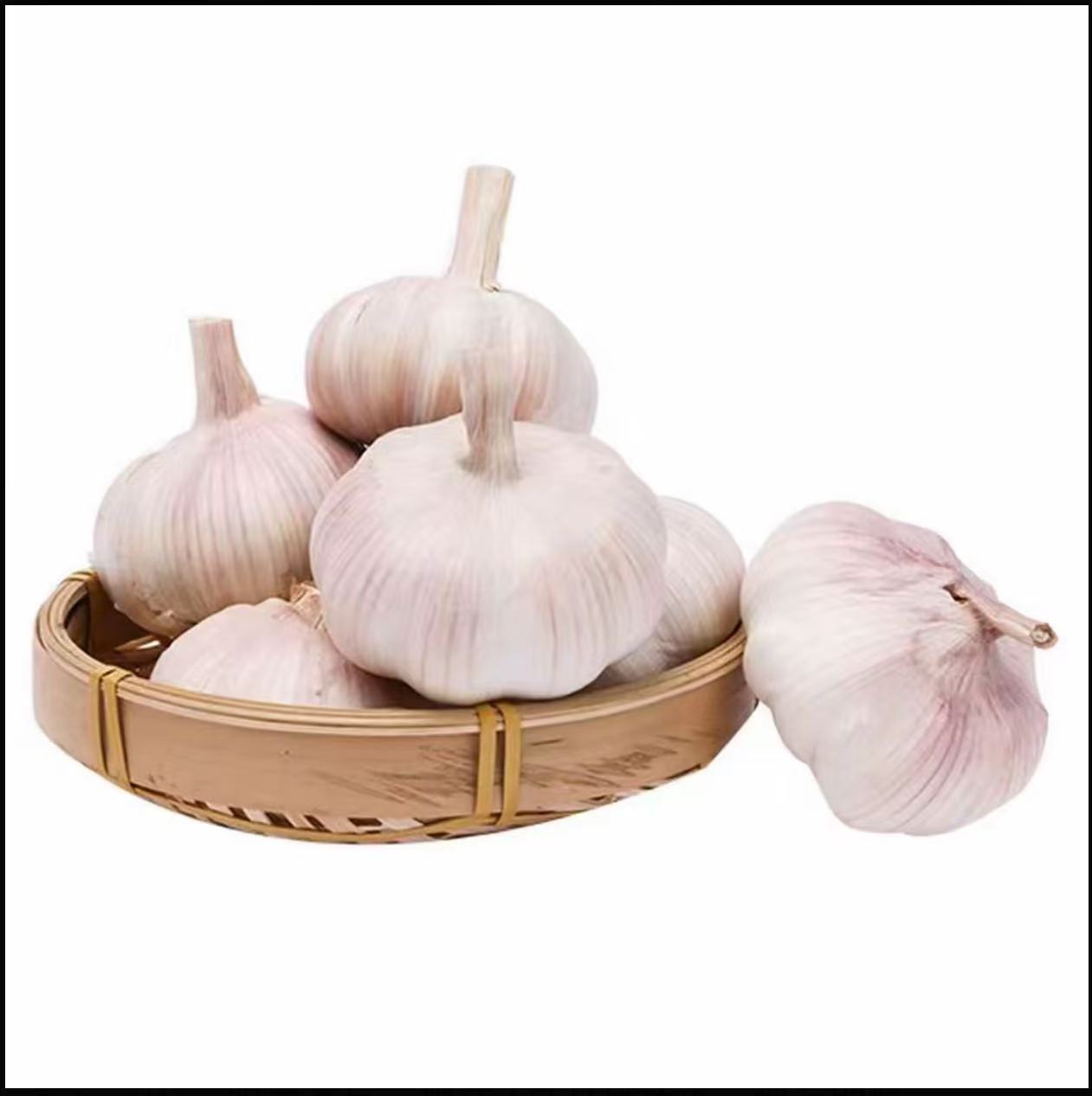 2025年新蒜干大蒜多瓣蒜头整箱（河南白皮蒜）