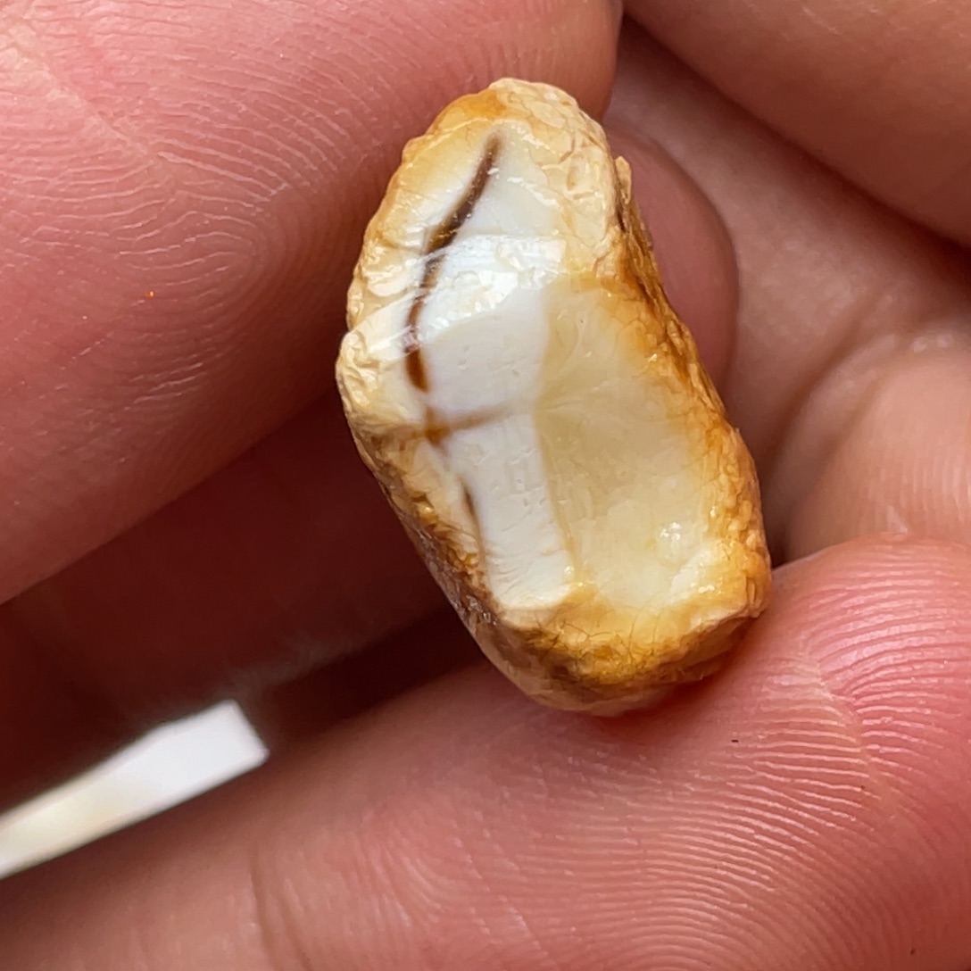 定制琥珀未镶嵌天然蜜蜡
