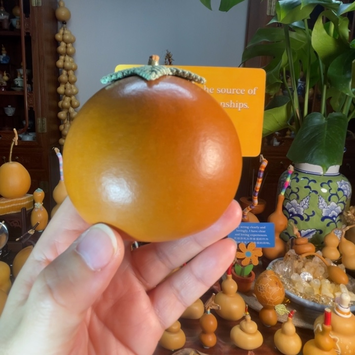 L****微细裂厚皮响籽葫芦