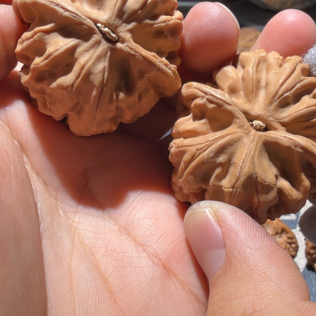 ****子文玩核桃把件凤凰台