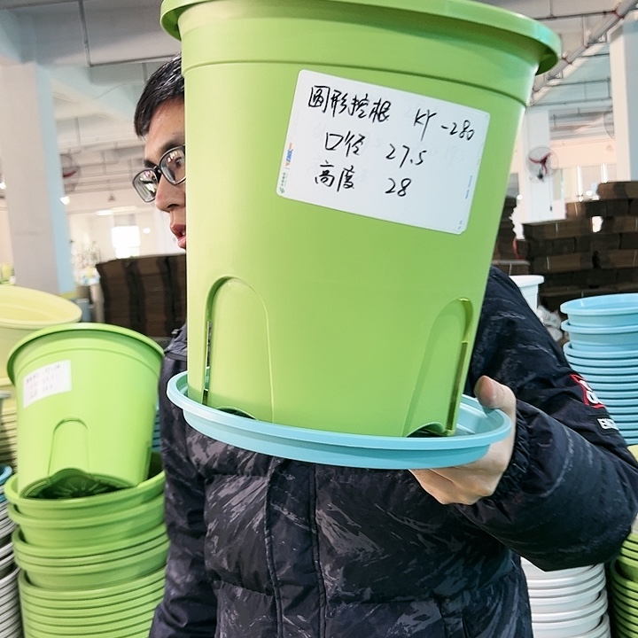 正品圆控口27.5高28果绿无托5只