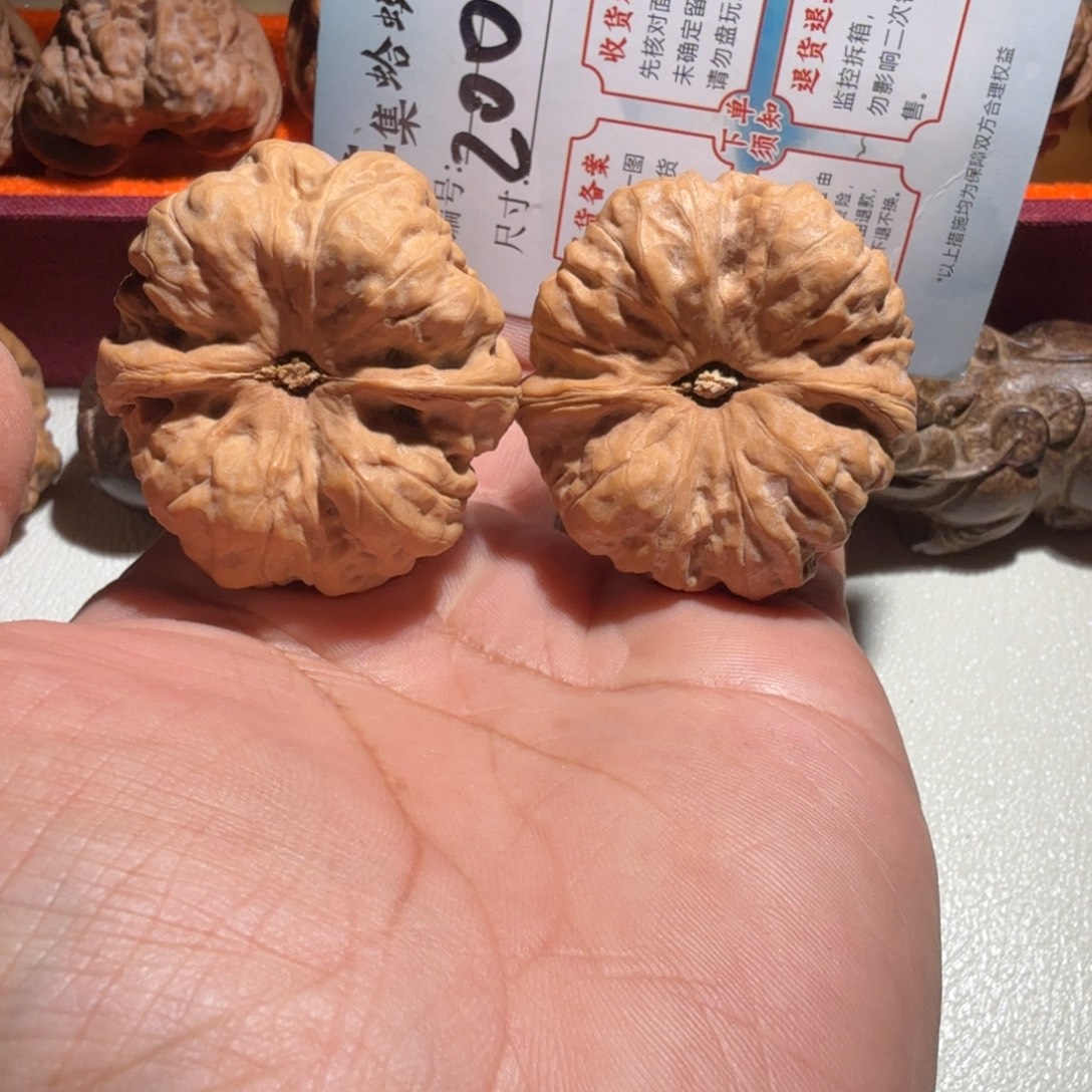 把件文玩核桃42边