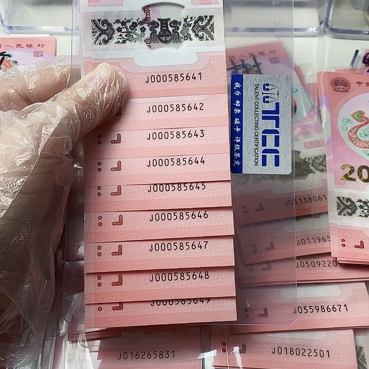 塑料蛇钞9张小司令000585641-49