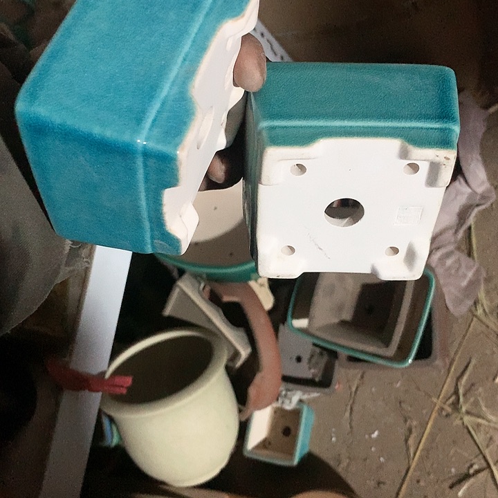 紫砂哈哈真的是太给力太火爆了