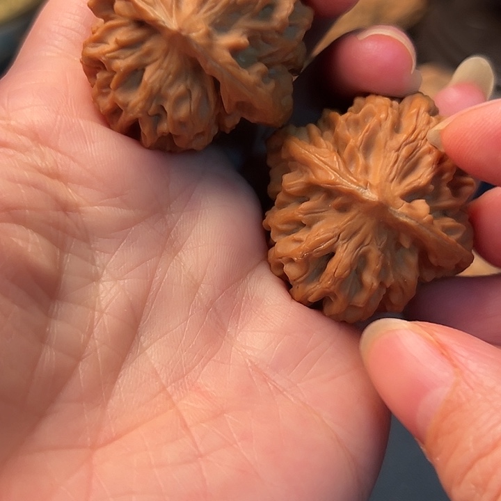 董****木桃和大红灯笼也