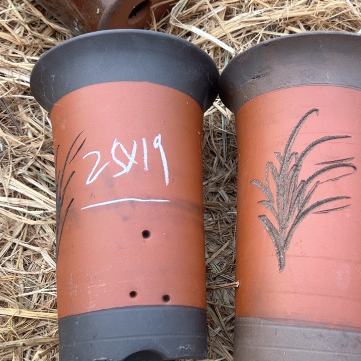 红陶紫砂兰花盆微瑕