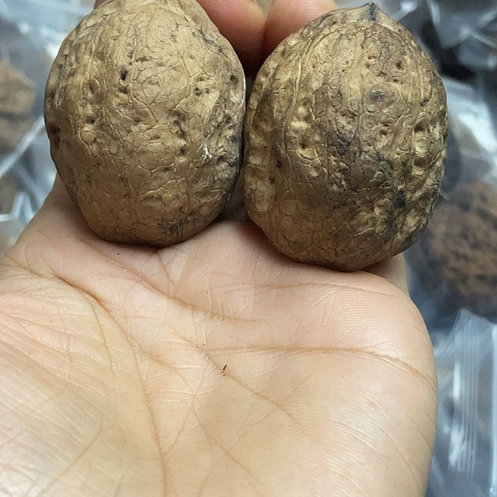 文玩核桃把件云南铁核桃基地43