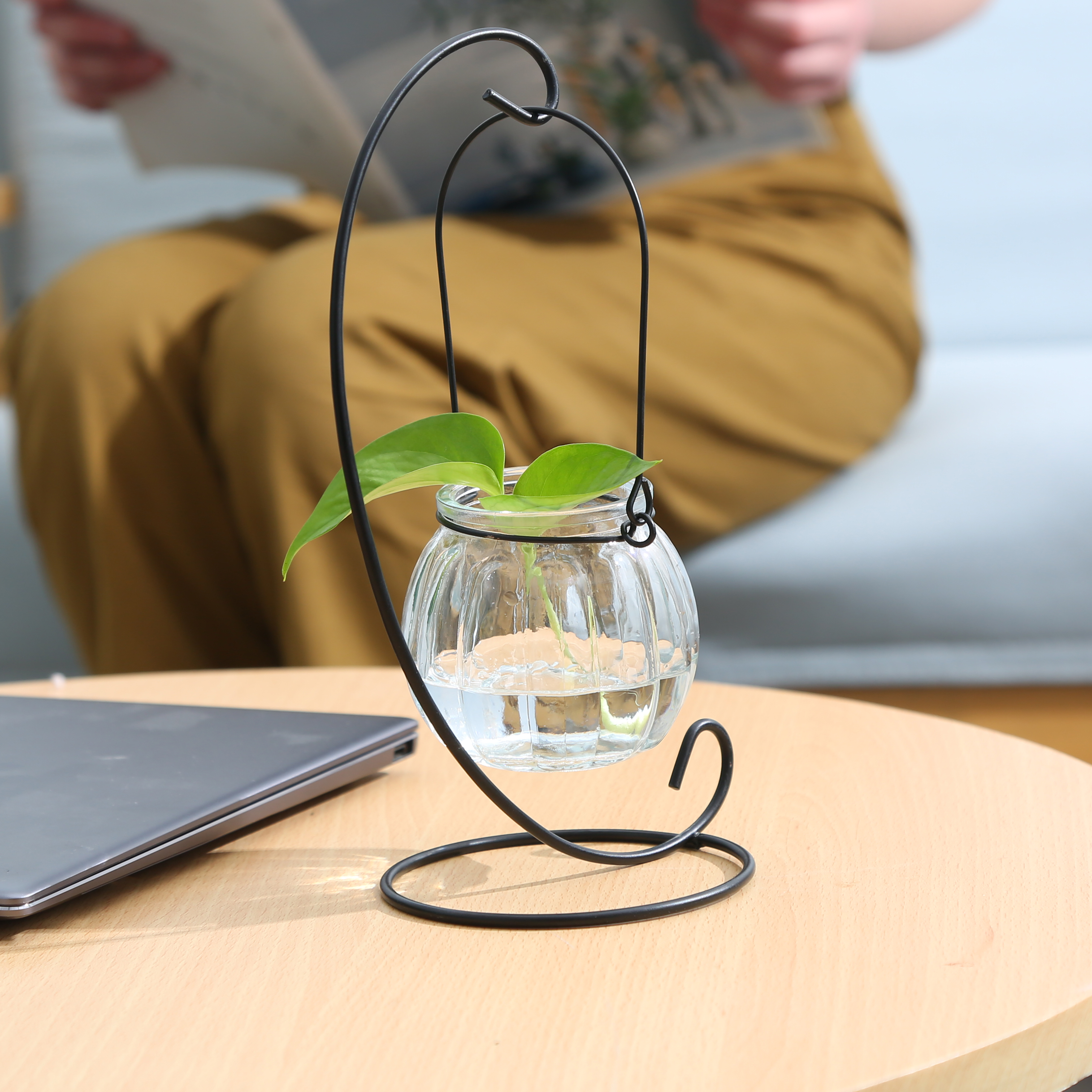 创意悬挂式透明水培玻璃花瓶插花盆绿萝壁挂小鱼缸简约现代小吊瓶