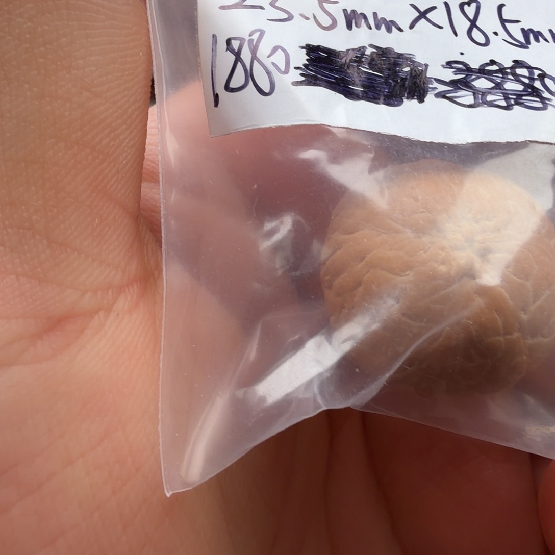 繁***华凤眼菩提吊坠麒麟