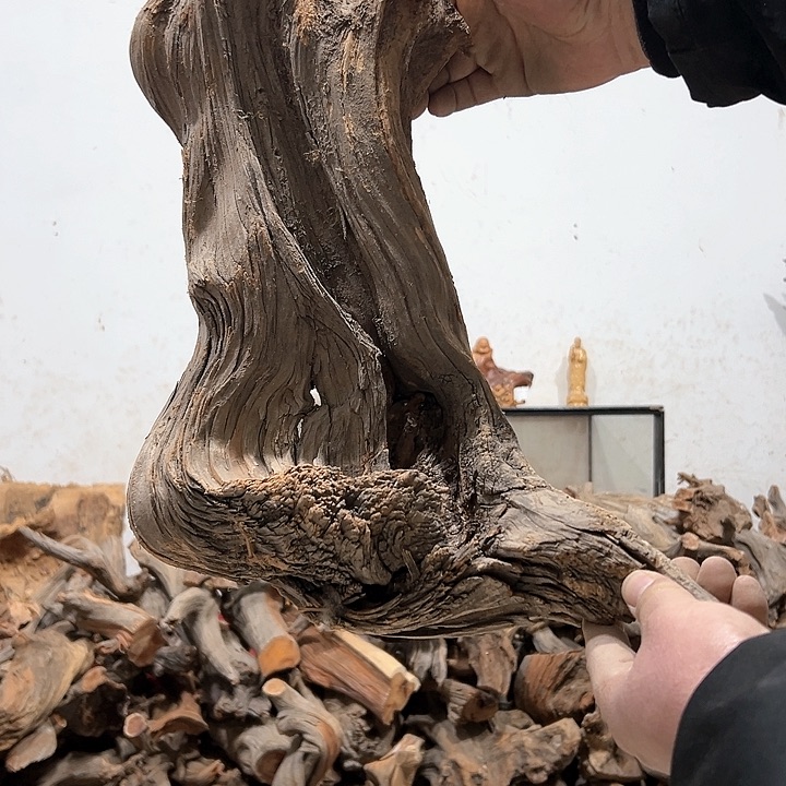 柏木大*我们的生活是以自己