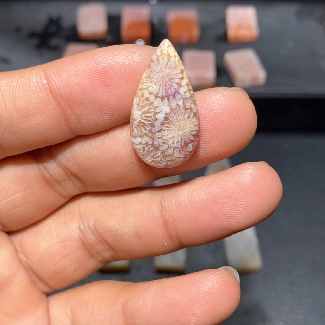 【闪购商品】硅化玉颈饰未镶嵌