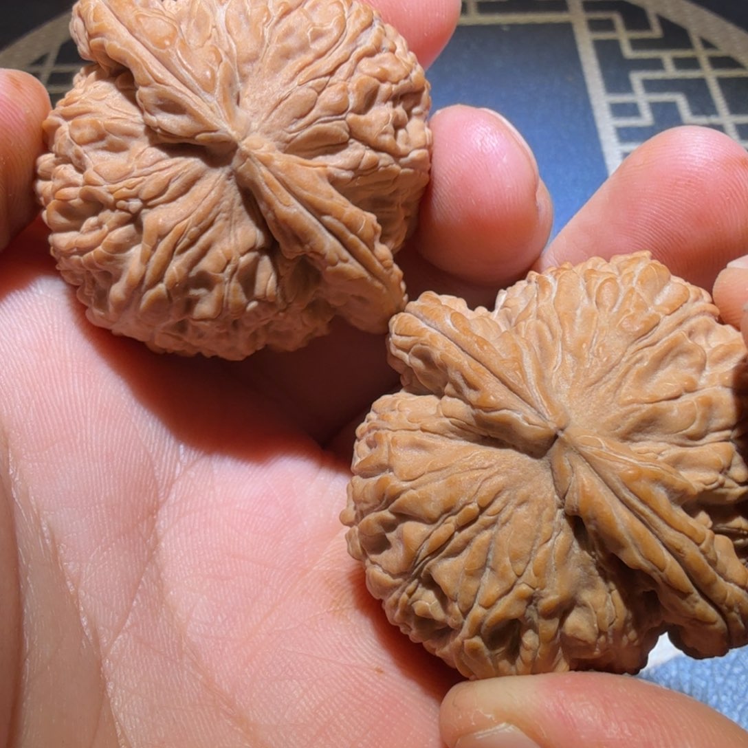 把件猴头核桃闷白