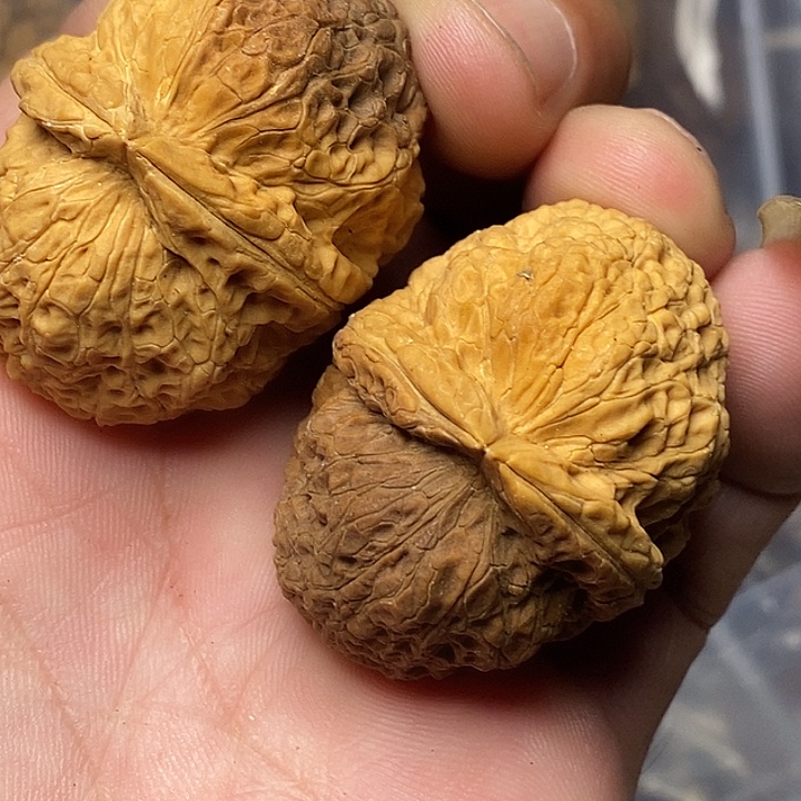 文玩核桃把件志成云铁文玩44