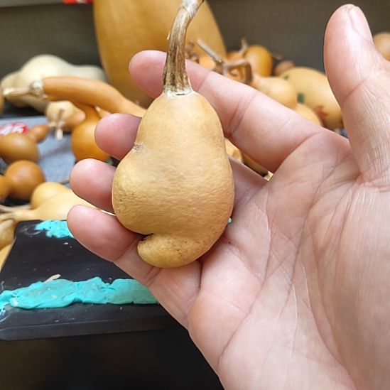 姜***乐葫芦娃娃娃娃娃娃娃娃娃娃娃
