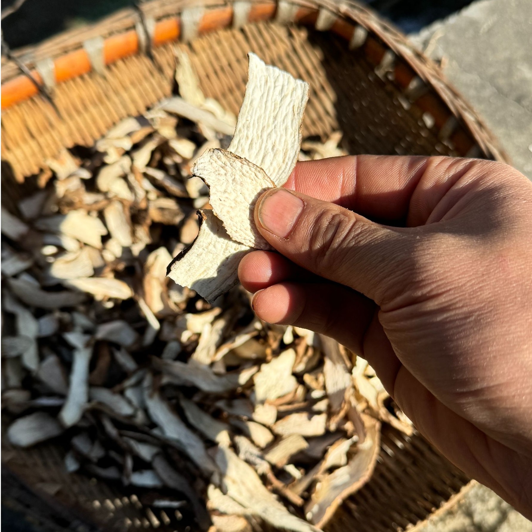 干山药片 自然晾晒