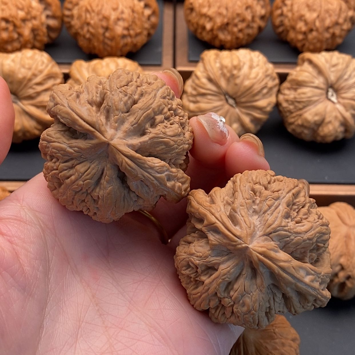 【闪购商品】文玩核桃把件粗筋47修