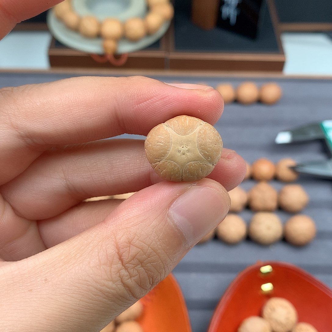 手串凤眼菩提19+五星，非质量问题开孔不退