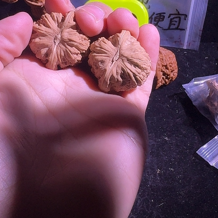 @***头吊坠文玩核桃33尺寸的白狮子