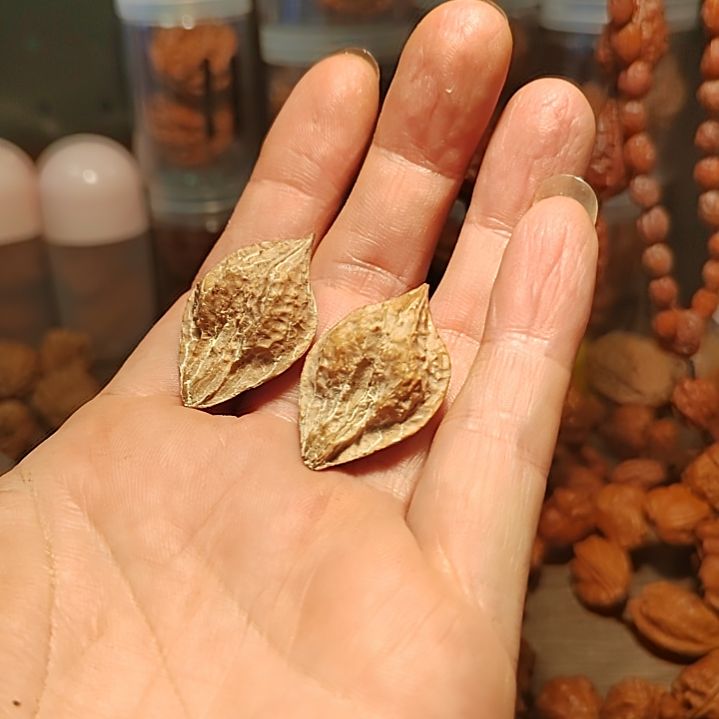 春***雨文玩核桃把件黄金叶手捻一对