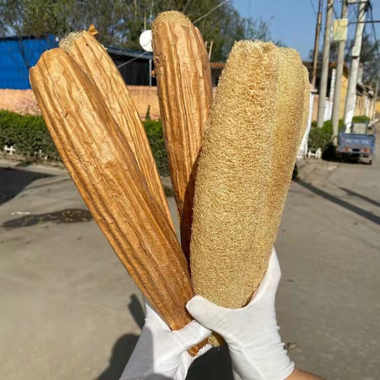 本地丝瓜抹布整条去皮丝瓜瓤洗碗丝瓜络厨房抹布不沾油不掉毛