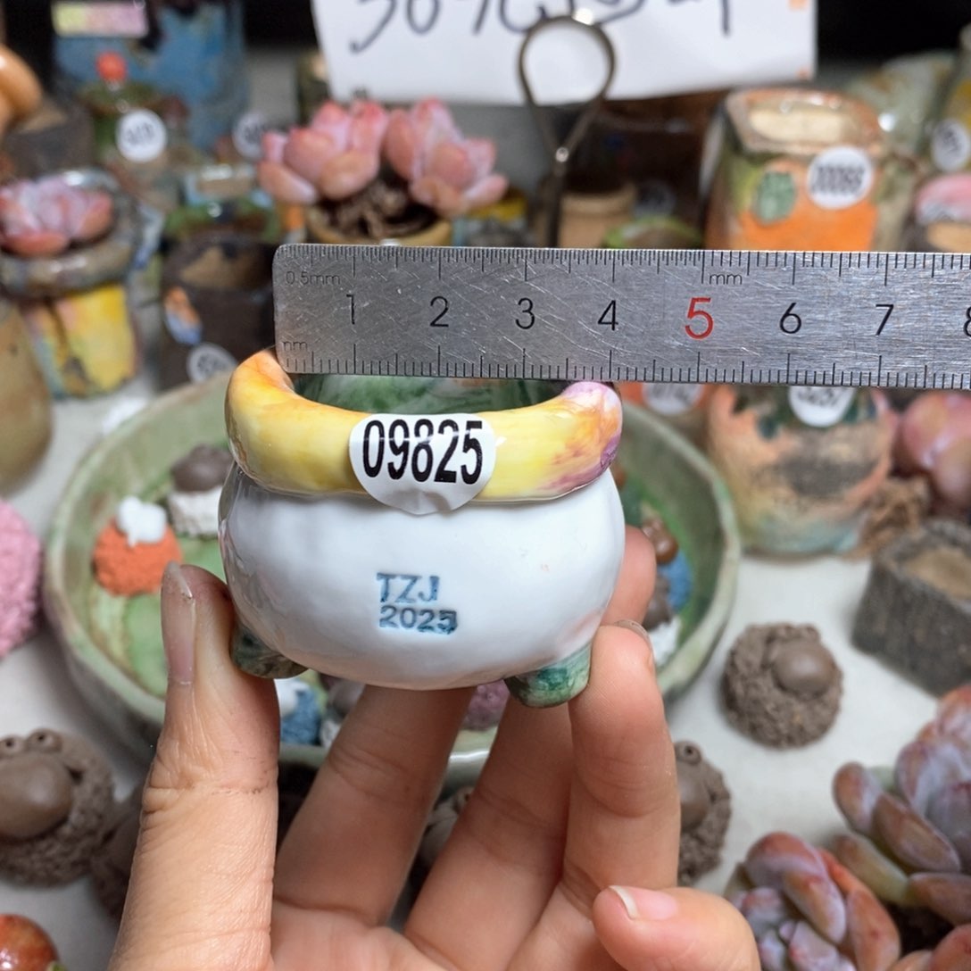 拍3送一个小礼物