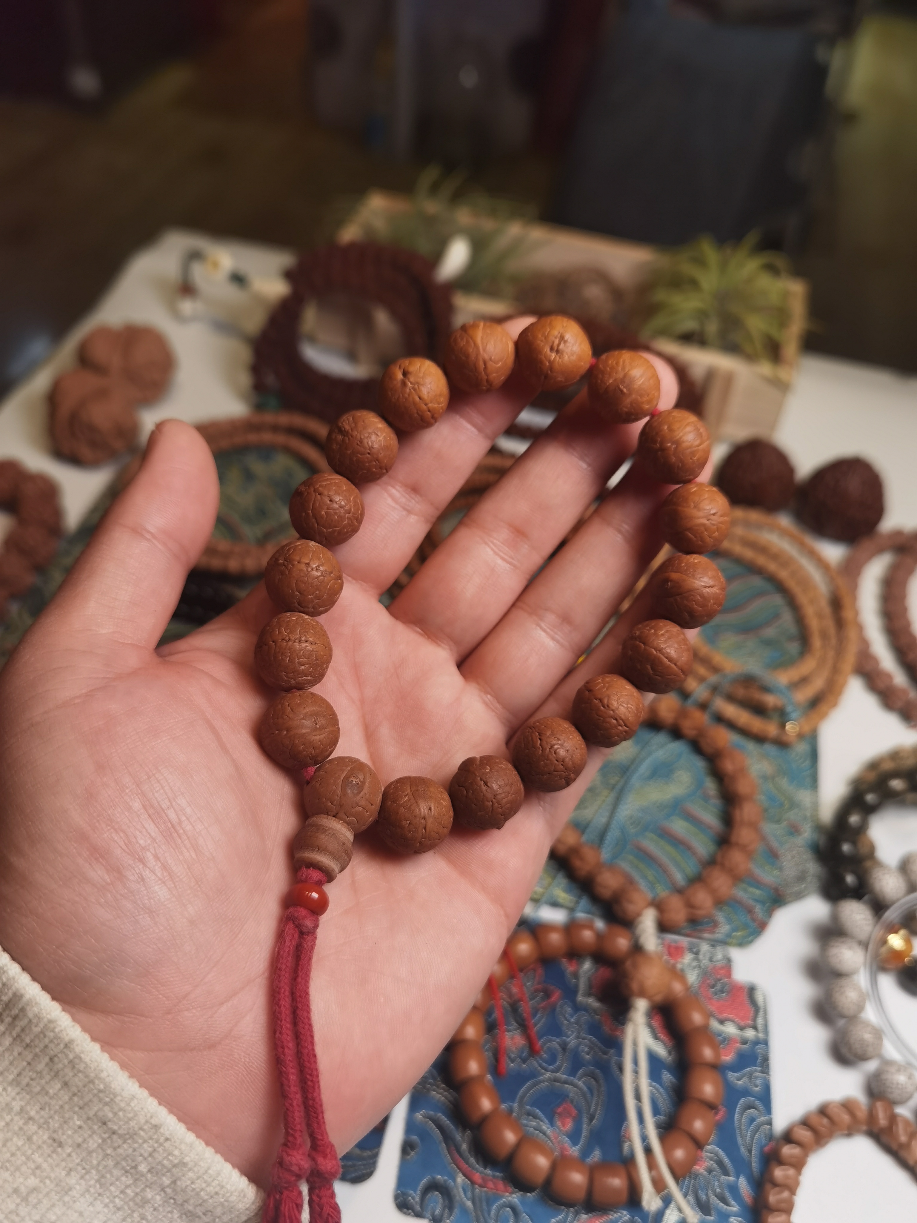 尺寸14，凤眼菩提。