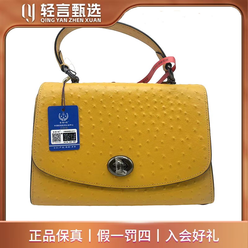 95新 COACH/蔻驰 单肩包/GD011/24*17