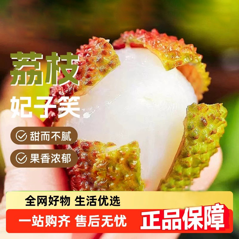 【次日达】今天拍明天到海南妃子笑荔枝清甜多汁当季新鲜水果现摘现发皮薄肉厚荔枝广西壮族自治区