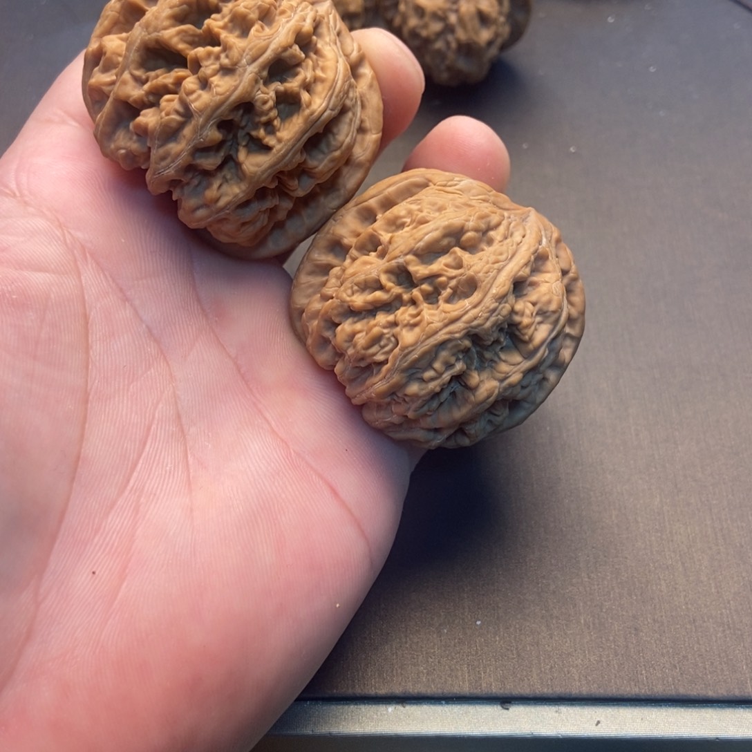 陌***2大叶紫檀（黑酸枝木类）粗筋