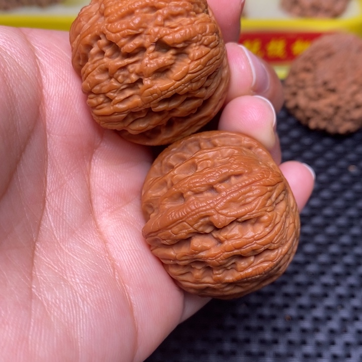 秦岭野生111111111111