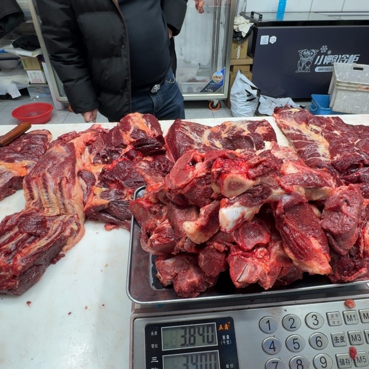 9个月中国大陆马骨头