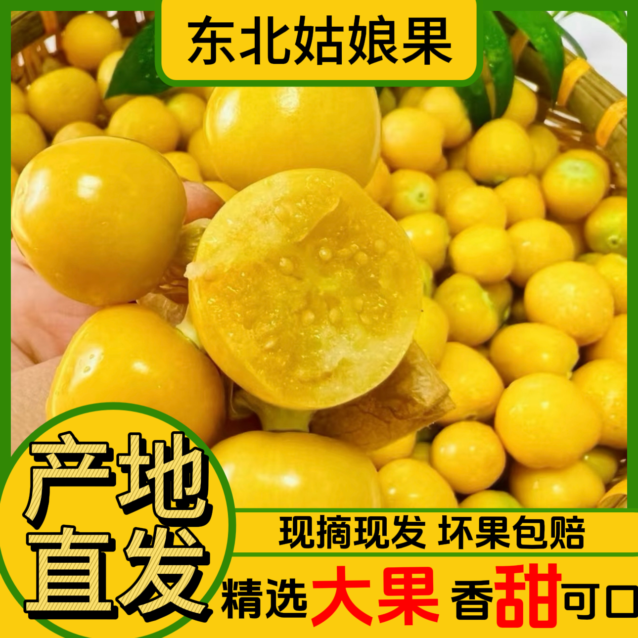 东北姑娘果新鲜采摘清甜多汁当季稀有水果灯笼果
