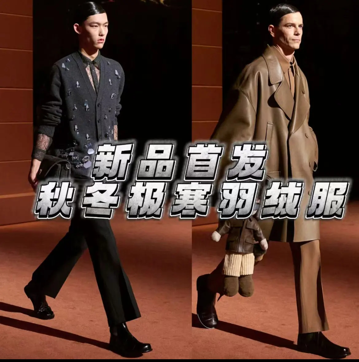 （阿尔卑斯）欧洲男女极寒羽绒服流光溢彩XD043