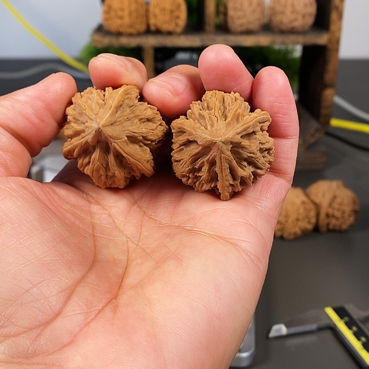 把件文玩核桃文山三棱子骨质好红皮果