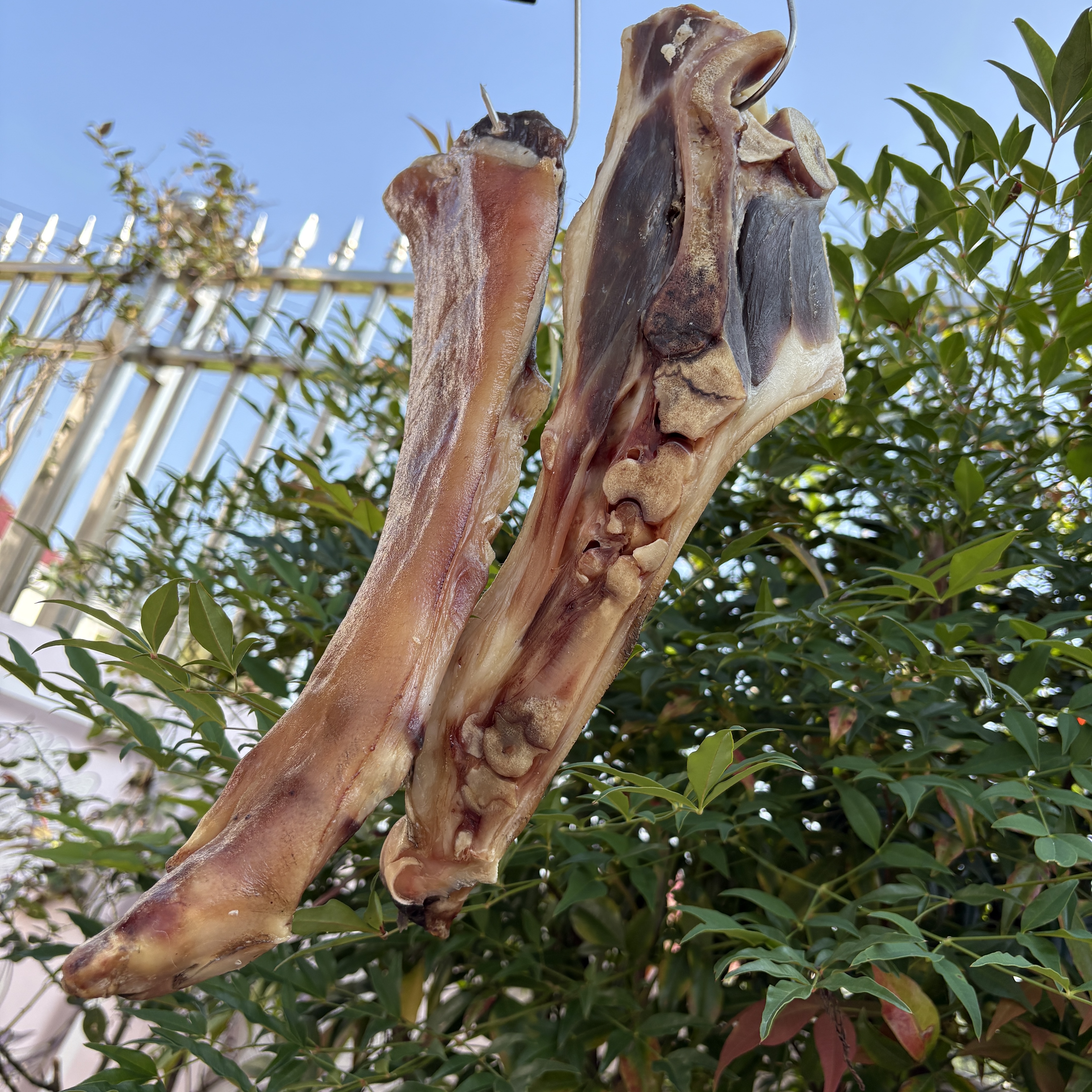 大别山特产农家生态喂养黑毛土猪腌制腊猪脚放心食用