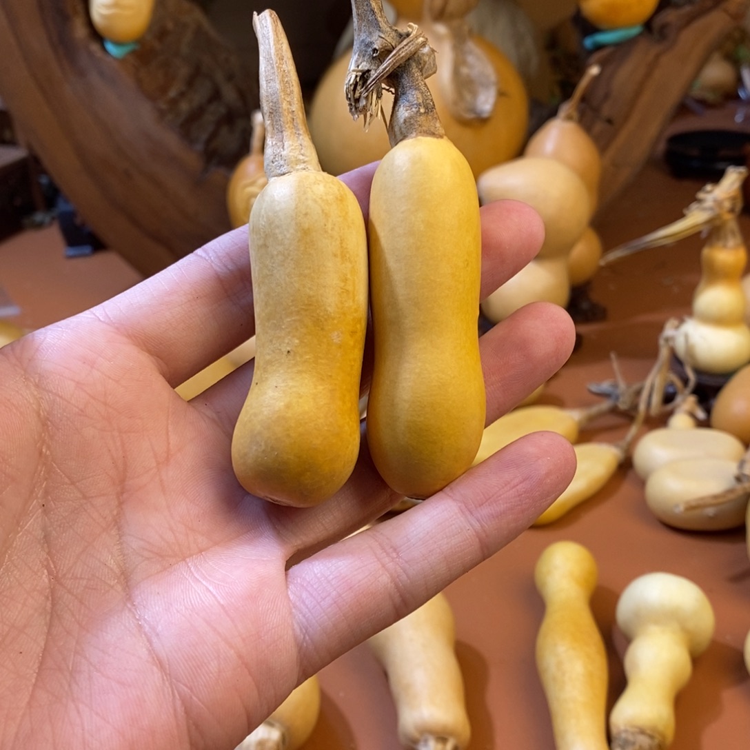 怪***e教练教练咯教练经理