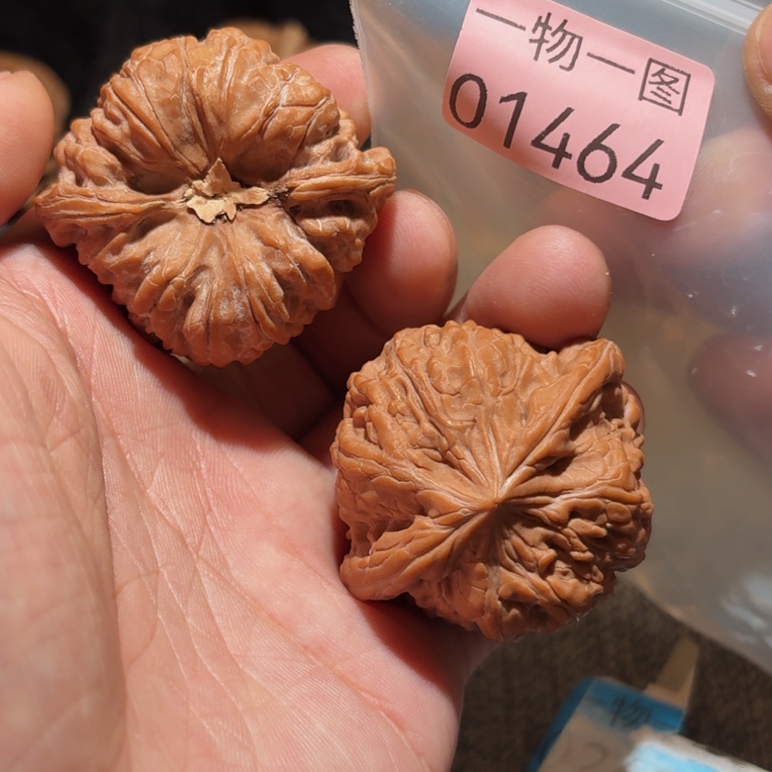 文玩核桃把件奥迪