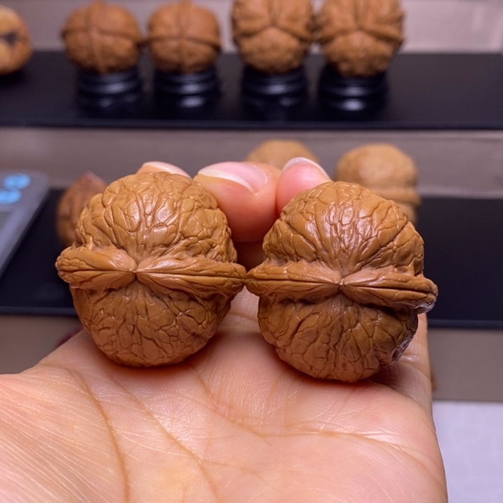 雨****把件文玩核桃金龟玉甲23