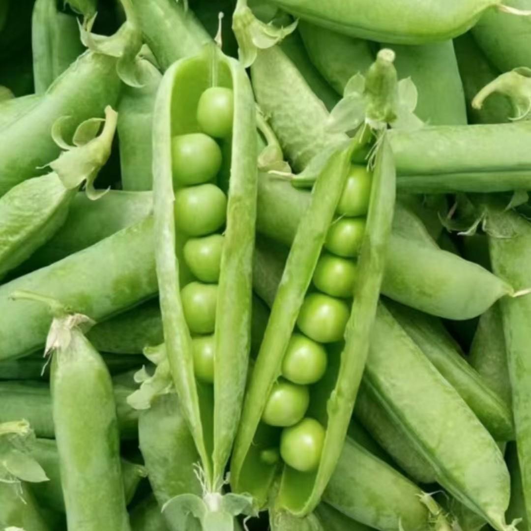 【乡村现场称重】江西吉安农村特色生鲜类（不支持退货，介意勿拍）