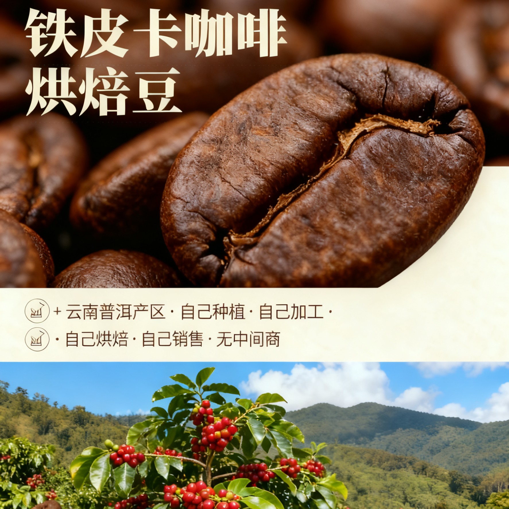 铁皮卡咖啡烘焙豆