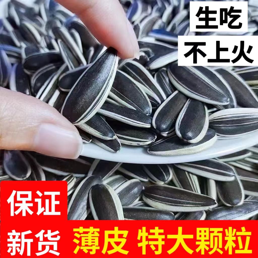 新货生瓜子2025内蒙大颗粒葵花籽货零食