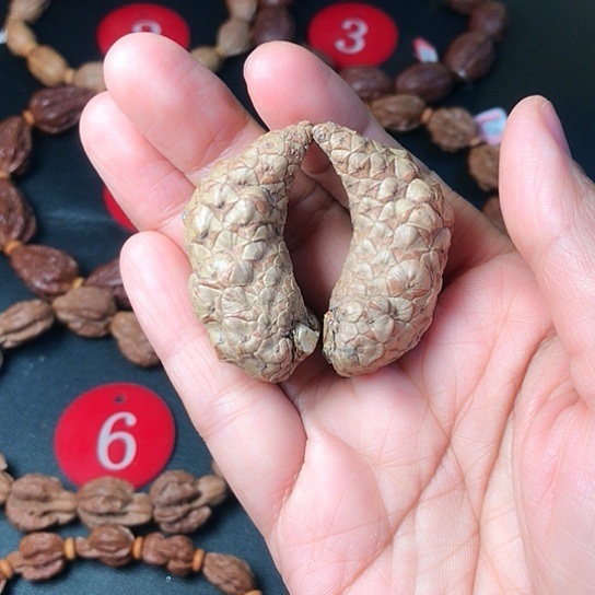 文玩核桃手串小雪2