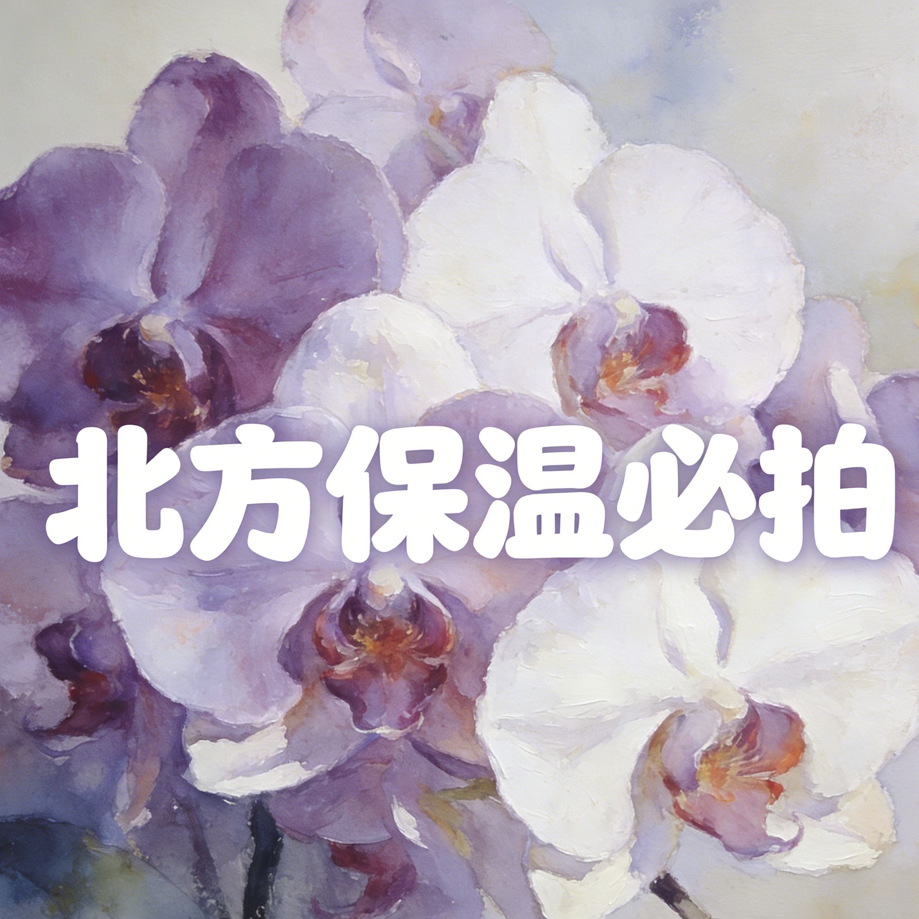 兰蝶汇【保温】零下温度必拍